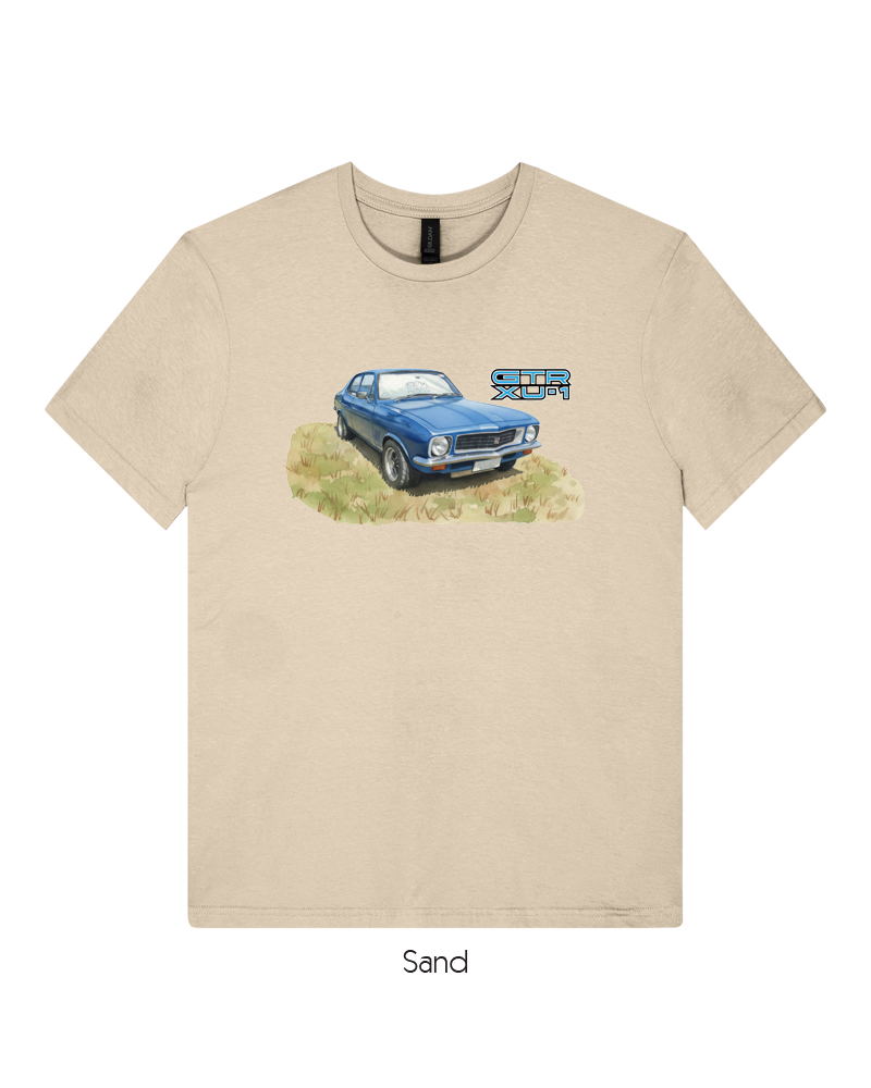 Holden GTR XU1 Metallic Blue