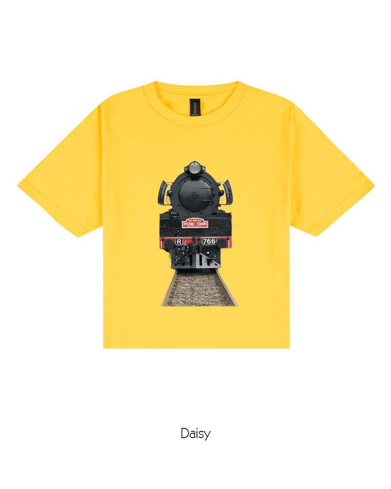 R766 - Steam Locomotive (Youth)