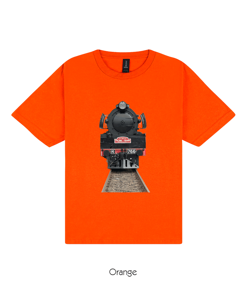 R766 - Steam Locomotive (Youth)