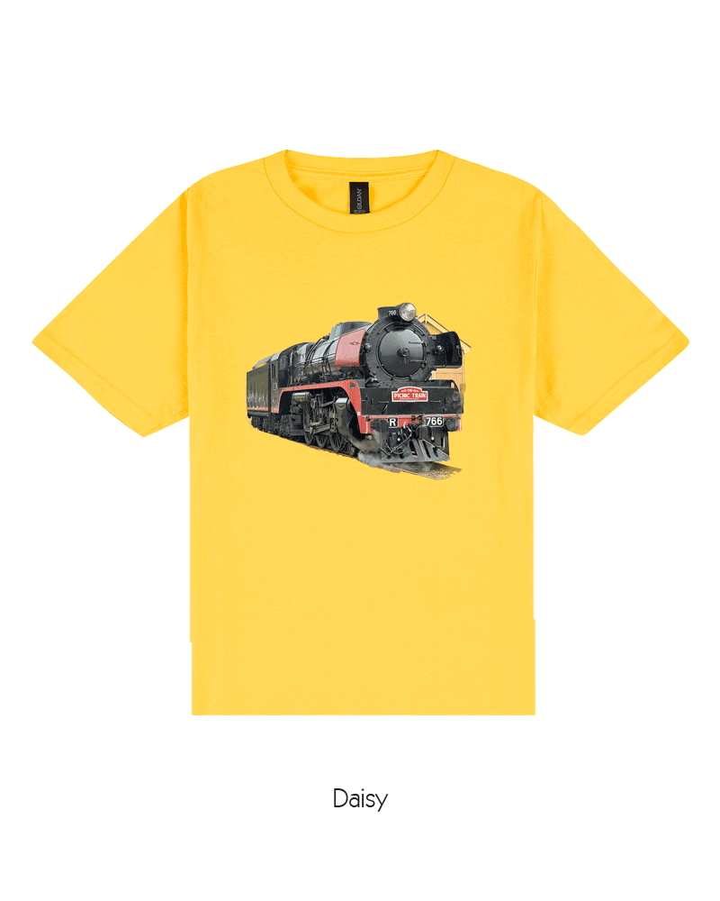 R766 - Steam Locomotive II (Youth)