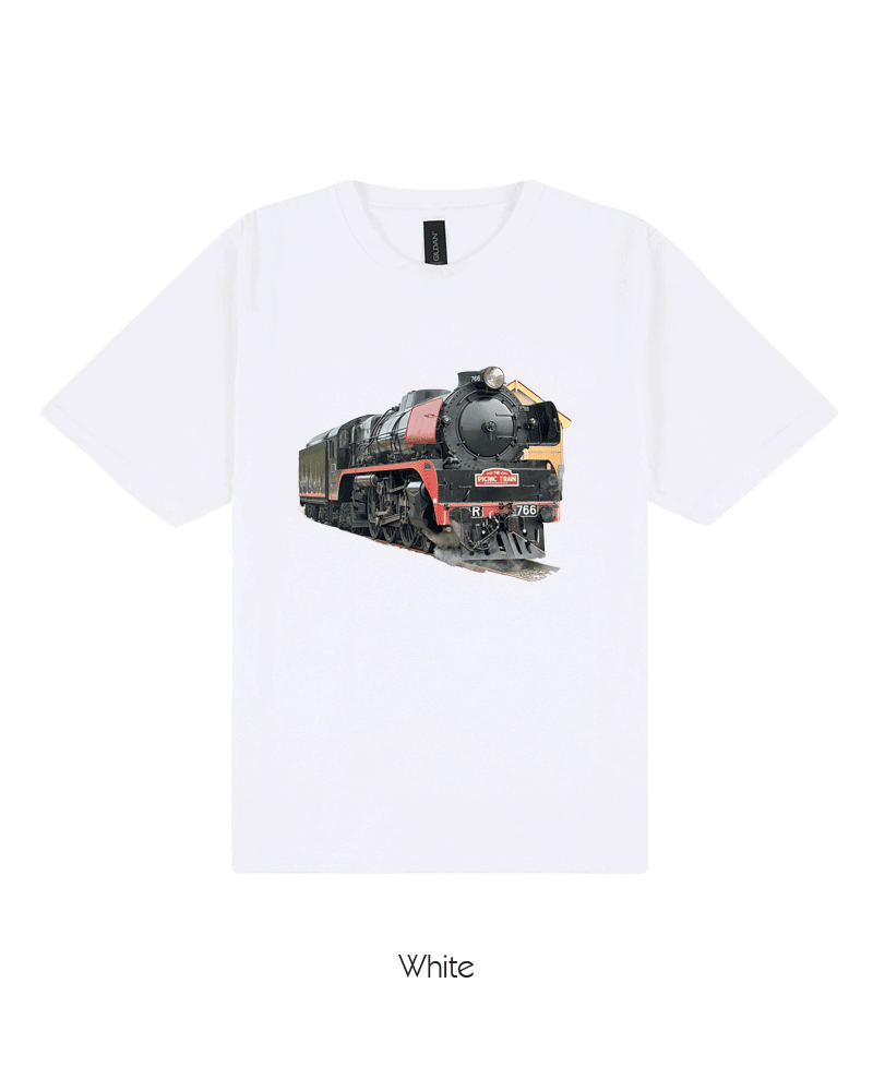 R766 - Steam Locomotive II (Youth)