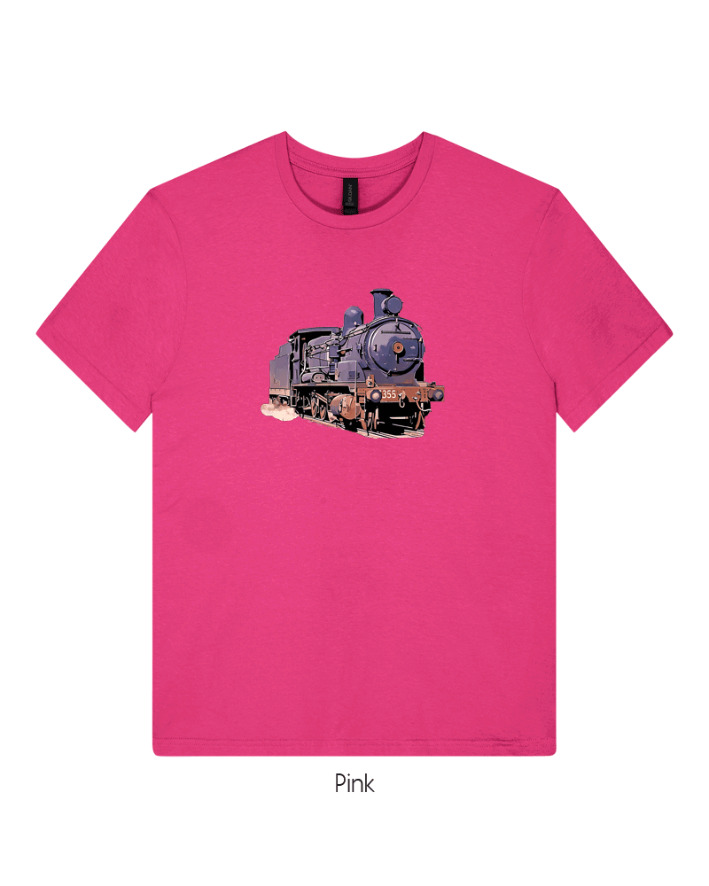 5355 - NSWGR Steam - RR0014